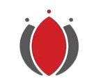 Tsoelopele Leadership Consulting Logo